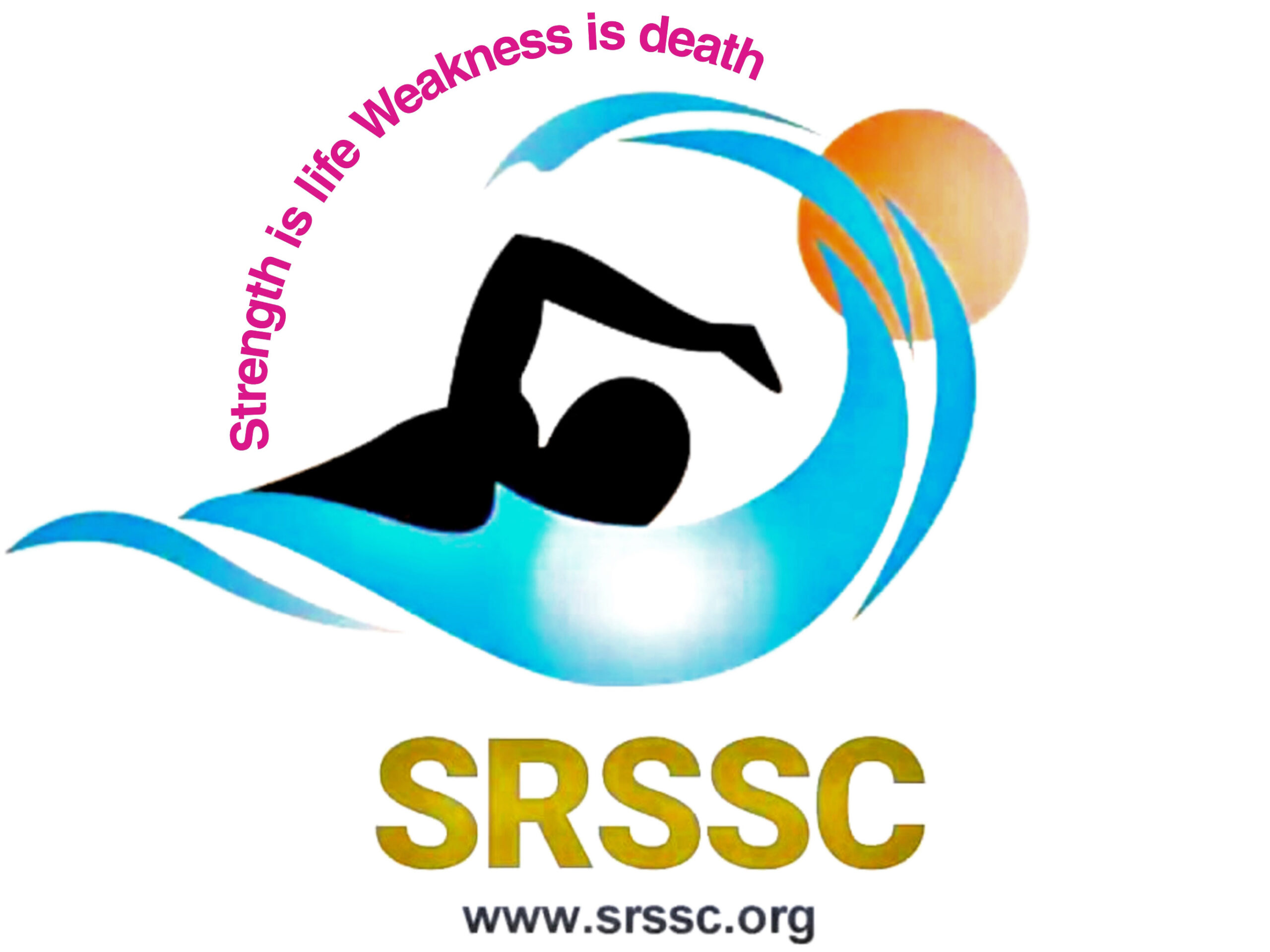 back logo copy scaled